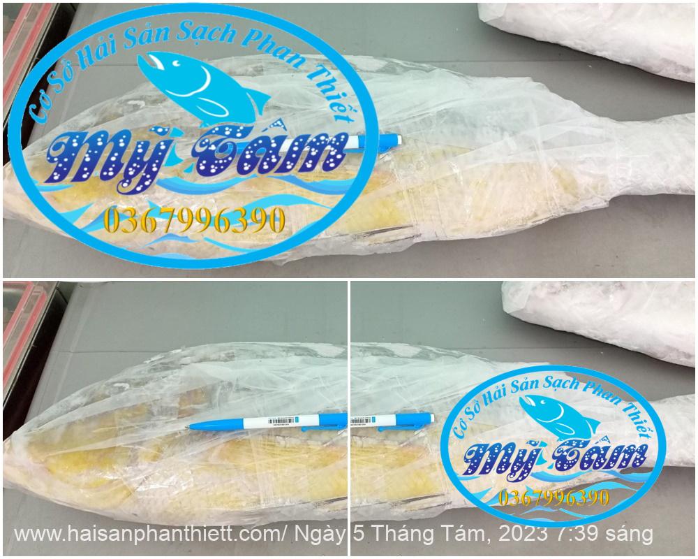 Ca Gay Nguyen Con Cap Dong Lanh Ca Gay Nguyen Con Cap Dong Lanh