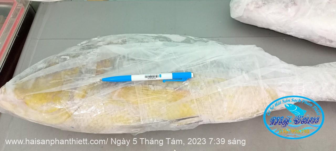 Ca Gay Nguyen Con Cap Dong Lanh Ca Gay Nguyen Con Cap Dong Lanh