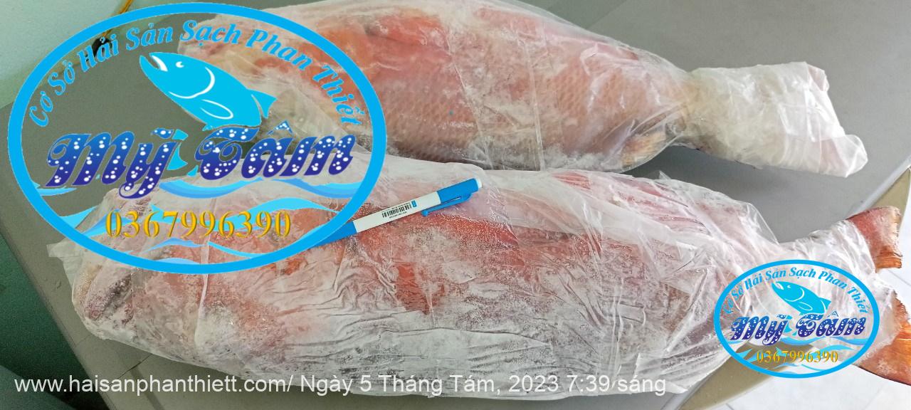 Ca Hong Chuoi Cap Dong Lanh Ca Hong Chuoi Cap Dong Lanh