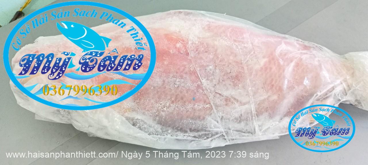 Ca Hong Chuoi Cap Dong Lanh Ca Hong Chuoi Cap Dong Lanh