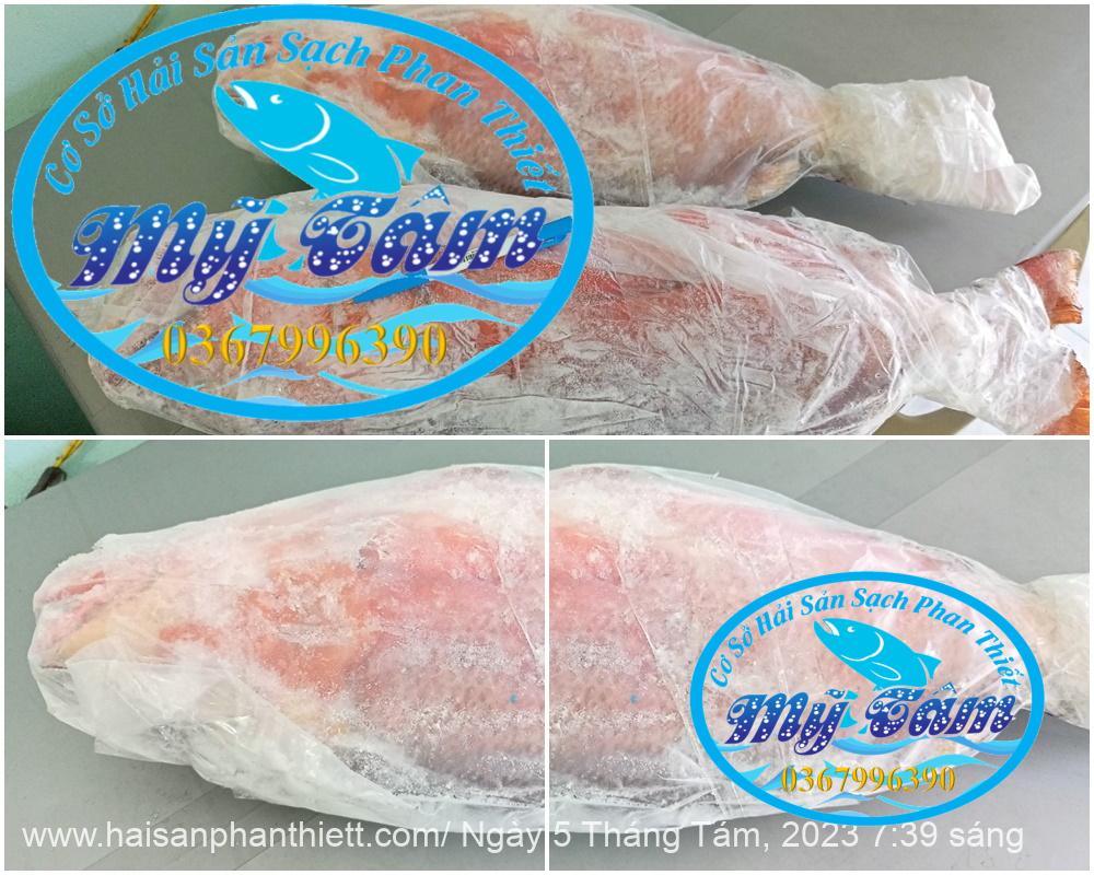 Ca Hong Chuoi Cap Dong Lanh Ca Hong Chuoi Cap Dong Lanh