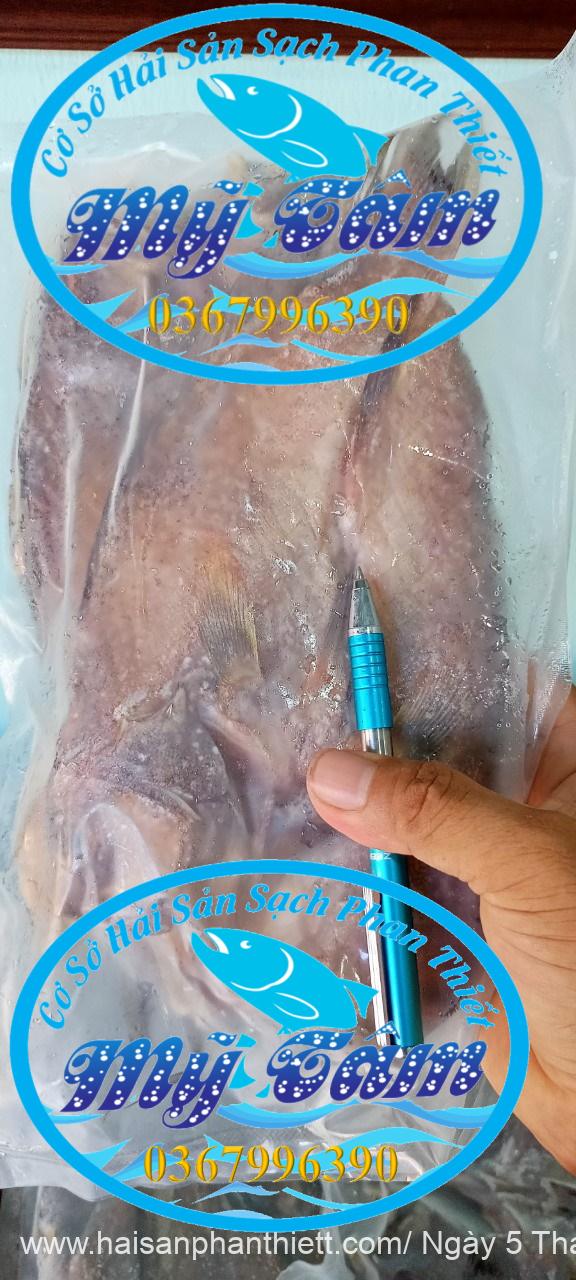 Ca Mu Kho 6 8 Con Kg Phi Le Ca Mu Kho 6 8 Con Kg Phi Le