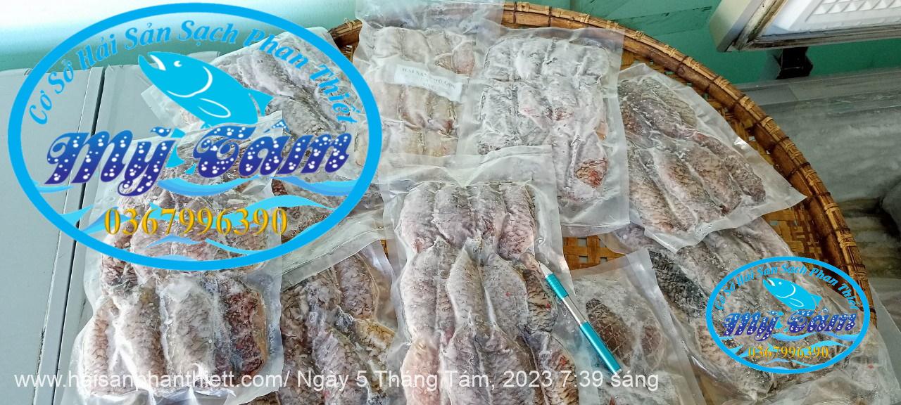 Ca Mo Da 1 Nang Phi Le Ca Mo Da 1 Nang Phi Le