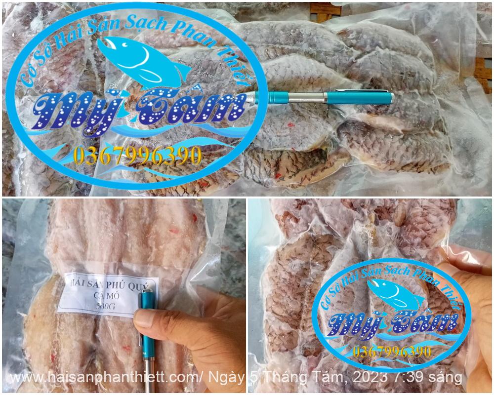 Ca Mo Da 1 Nang Phi Le Ca Mo Da 1 Nang Phi Le