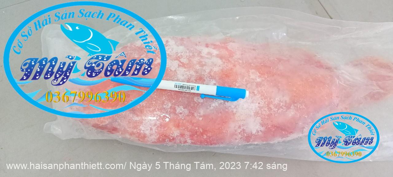 Ca Mu Bop Cap Dong Lanh Ca Mu Bop Cap Dong Lanh