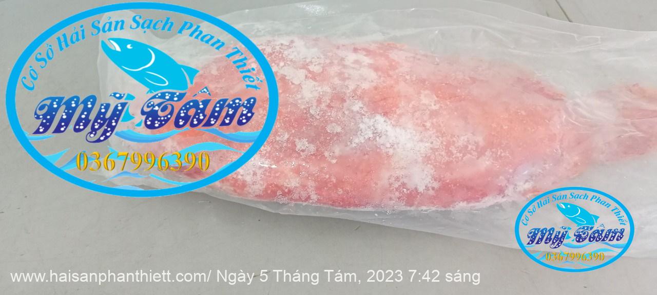 Ca Mu Bop Cap Dong Lanh Ca Mu Bop Cap Dong Lanh