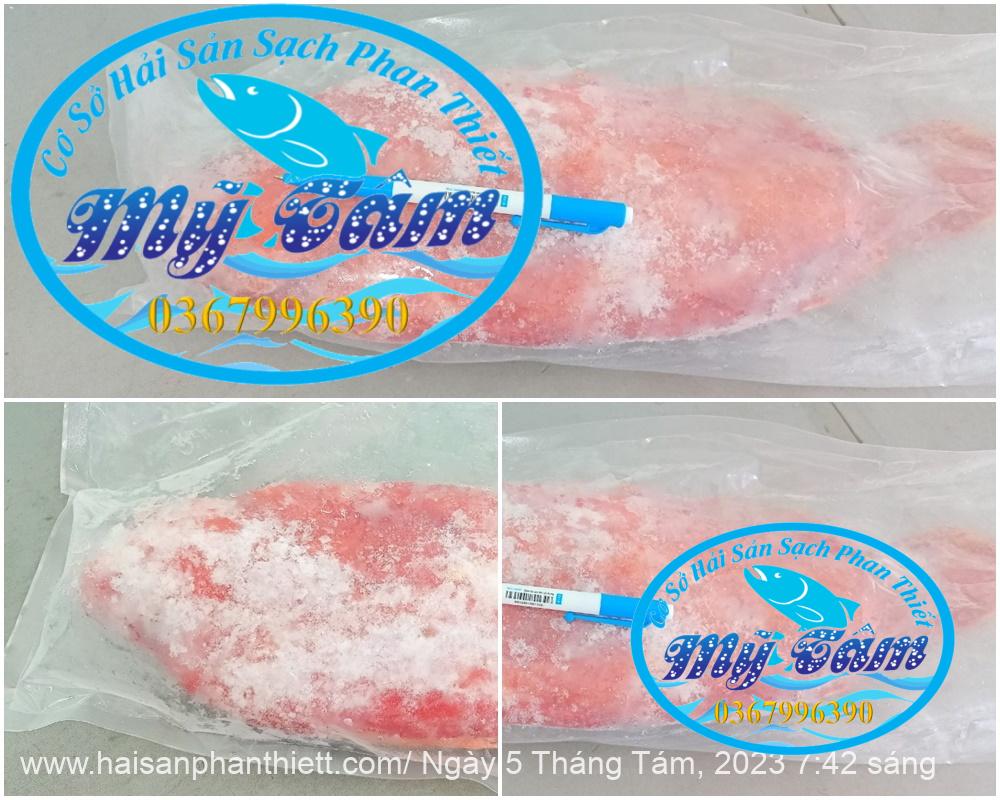 Ca Mu Bop Cap Dong Lanh Ca Mu Bop Cap Dong Lanh