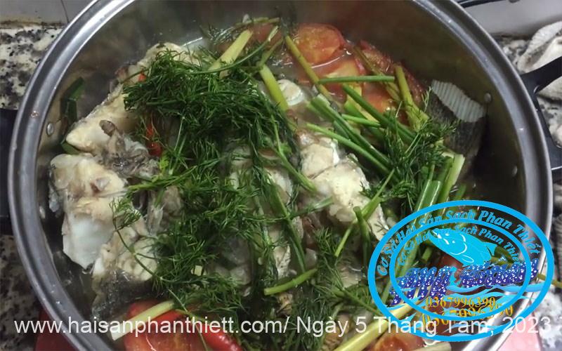 Ca Mu Song Cham Vang Cap Dong Lanh Ca Mu Song Cham Vang Cap Dong Lanh