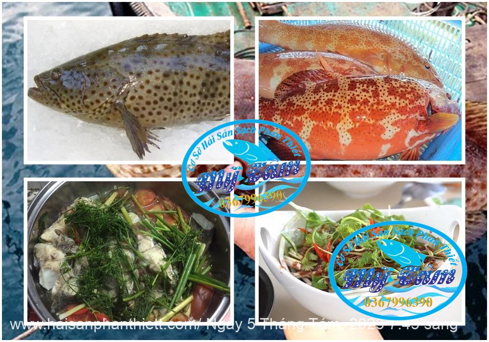 Ca Mu Song Cham Vang Cap Dong Lanh Ca Mu Song Cham Vang Cap Dong Lanh