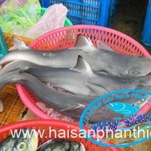 Ca Nham Map Kho Phi Le Cap Dong Lanh