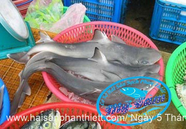 Ca Nham Map Kho Phi Le Cap Dong Lanh