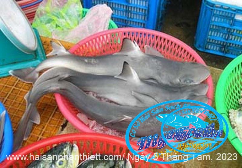 Ca Nham Map Kho Phi Le Cap Dong Lanh Ca Nham Map Kho Phi Le Cap Dong Lanh