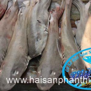 Ca Nham Map Kho Phi Le Cap Dong Lanh