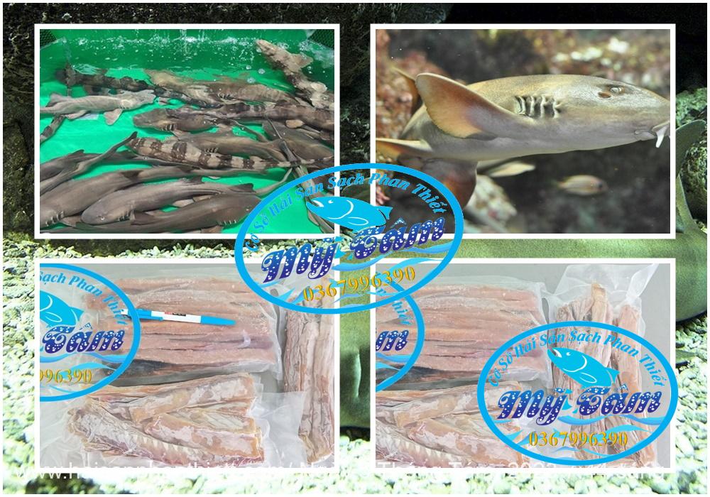 Ca Nham Map Kho Phi Le Cap Dong Lanh Ca Nham Map Kho Phi Le Cap Dong Lanh