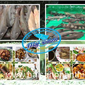 Ca Nham Map Kho Phi Le Cap Dong Lanh