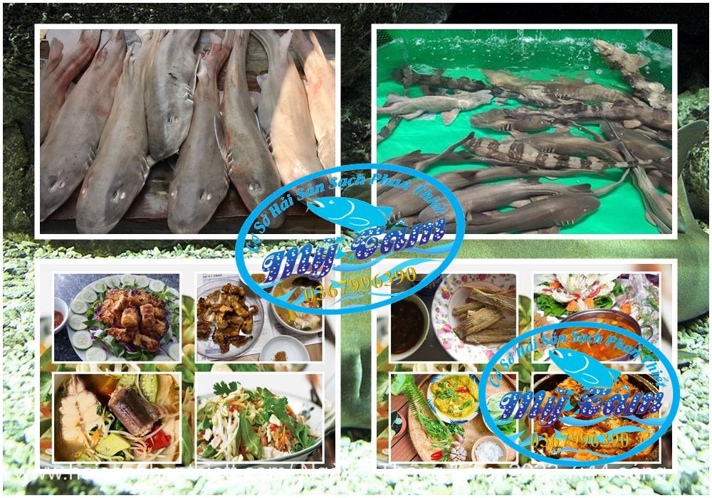 Ca Nham Map Kho Phi Le Cap Dong Lanh Ca Nham Map Kho Phi Le Cap Dong Lanh