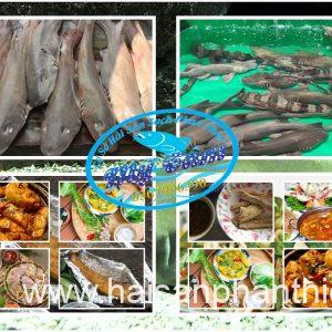 Ca Nham Map Kho Phi Le Cap Dong Lanh