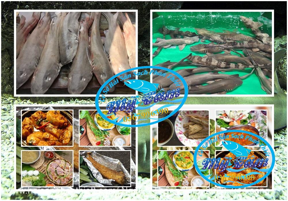 Ca Nham Map Kho Phi Le Cap Dong Lanh Ca Nham Map Kho Phi Le Cap Dong Lanh