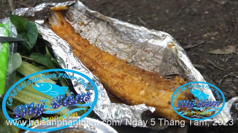 Ca Nham Map Kho Phi Le Cap Dong Lanh Ca Nham Map Kho Phi Le Cap Dong Lanh