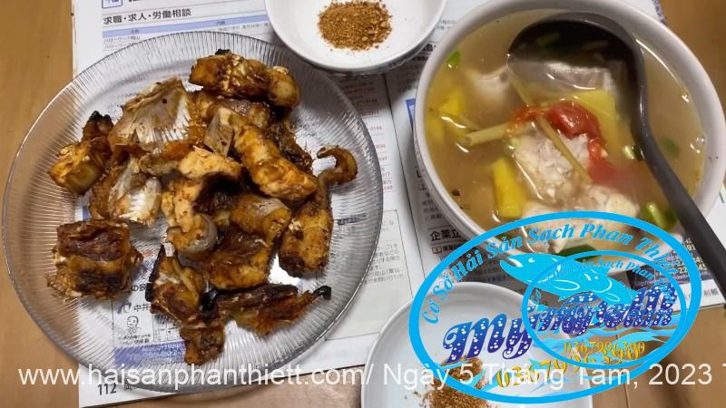 Ca Nham Map Kho Phi Le Cap Dong Lanh Ca Nham Map Kho Phi Le Cap Dong Lanh