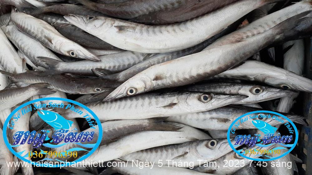 Ca Nhong Huong Mot Nang Phi Le Ca Nhong Huong Mot Nang Phi Le