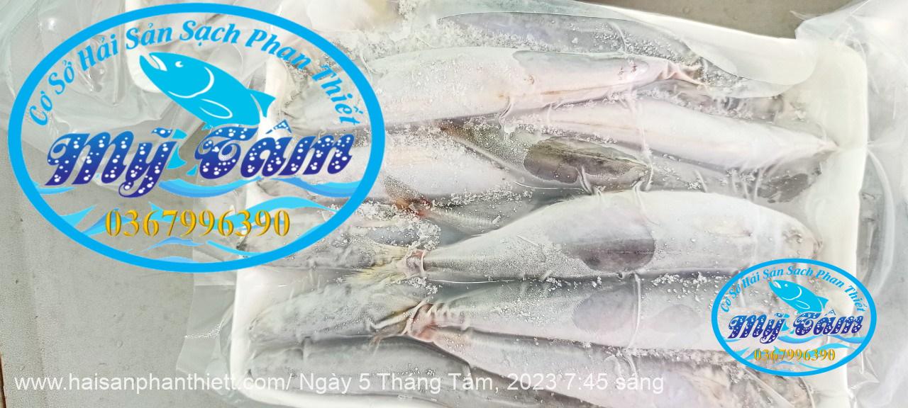 Ca Nuc Suon Cap Dong Lanh Ca Nuc Suon Cap Dong Lanh