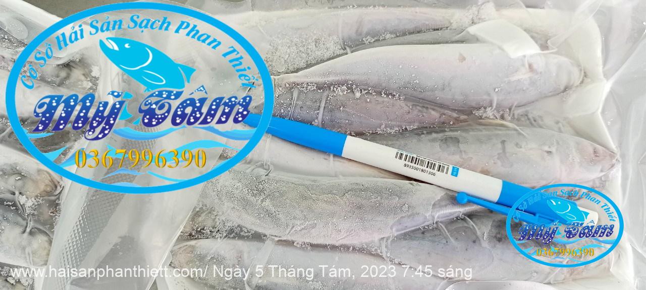 Ca Nuc Suon Cap Dong Lanh Ca Nuc Suon Cap Dong Lanh