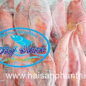 Ca Phen Do Hai San Phan Thiet