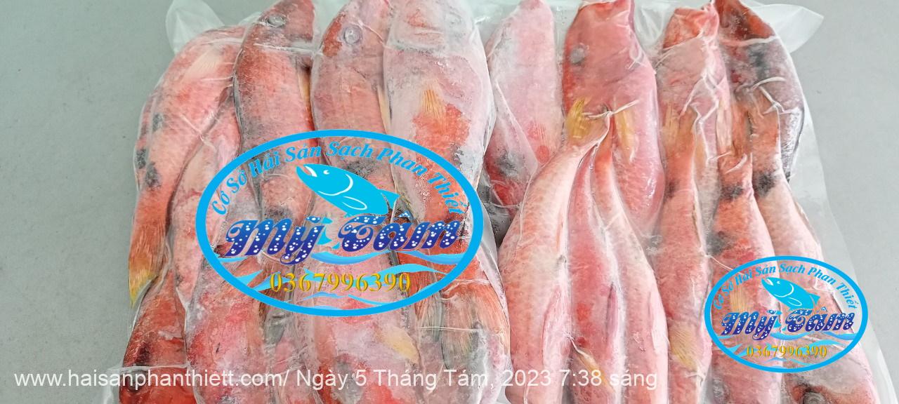 Ca Phen Do Hai San Phan Thiet Ca Phen Do Hai San Phan Thiet