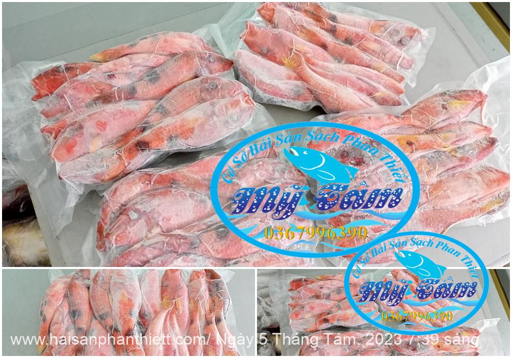 Ca Phen Do Hai San Phan Thiet Ca Phen Do Hai San Phan Thiet