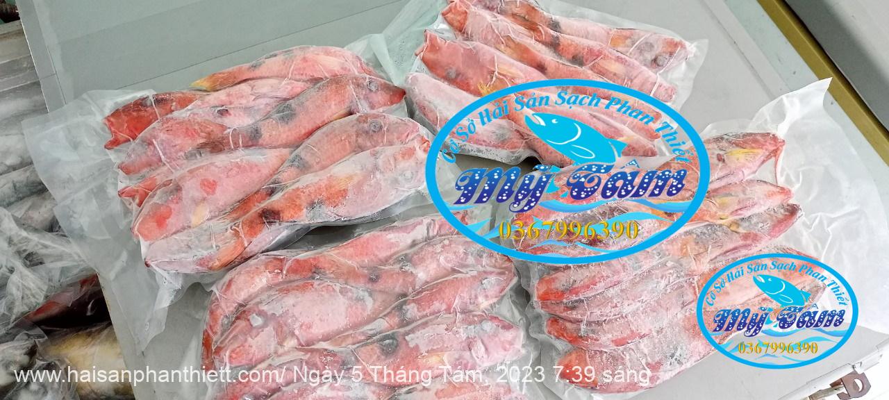 Ca Phen Do Hai San Phan Thiet Ca Phen Do Hai San Phan Thiet