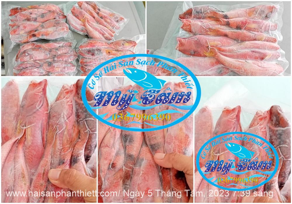 Ca Phen Do Hai San Phan Thiet Ca Phen Do Hai San Phan Thiet