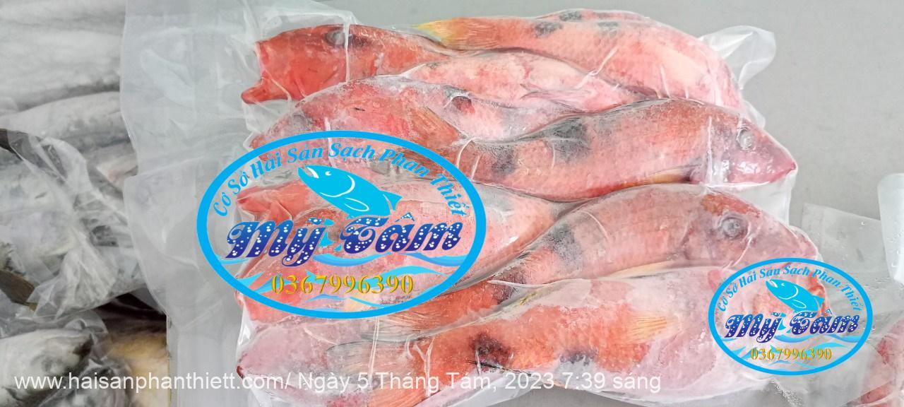 Ca Phen Do Hai San Phan Thiet Ca Phen Do Hai San Phan Thiet