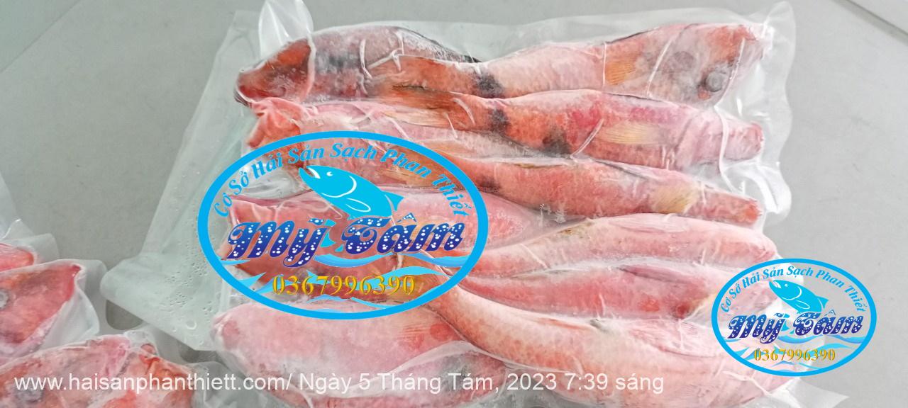 Ca Phen Do Hai San Phan Thiet Ca Phen Do Hai San Phan Thiet