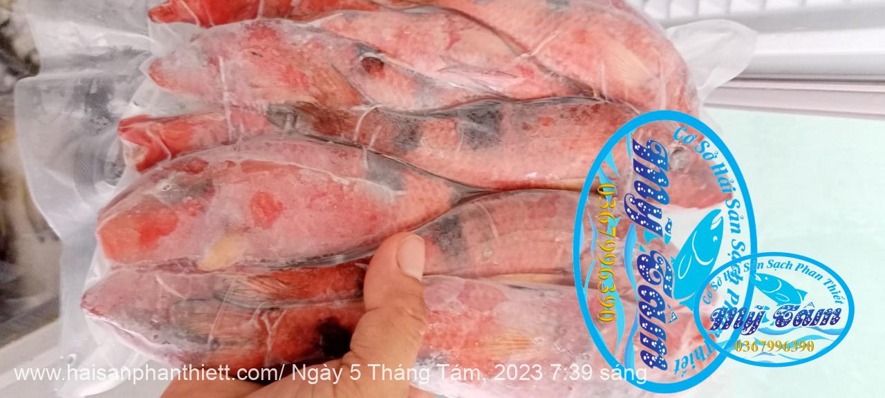 Ca Phen Do Hai San Phan Thiet Ca Phen Do Hai San Phan Thiet