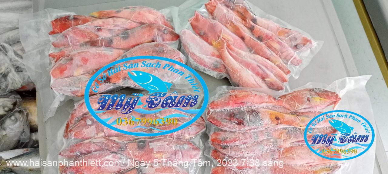 Ca Phen Do Hai San Phan Thiet Ca Phen Do Hai San Phan Thiet