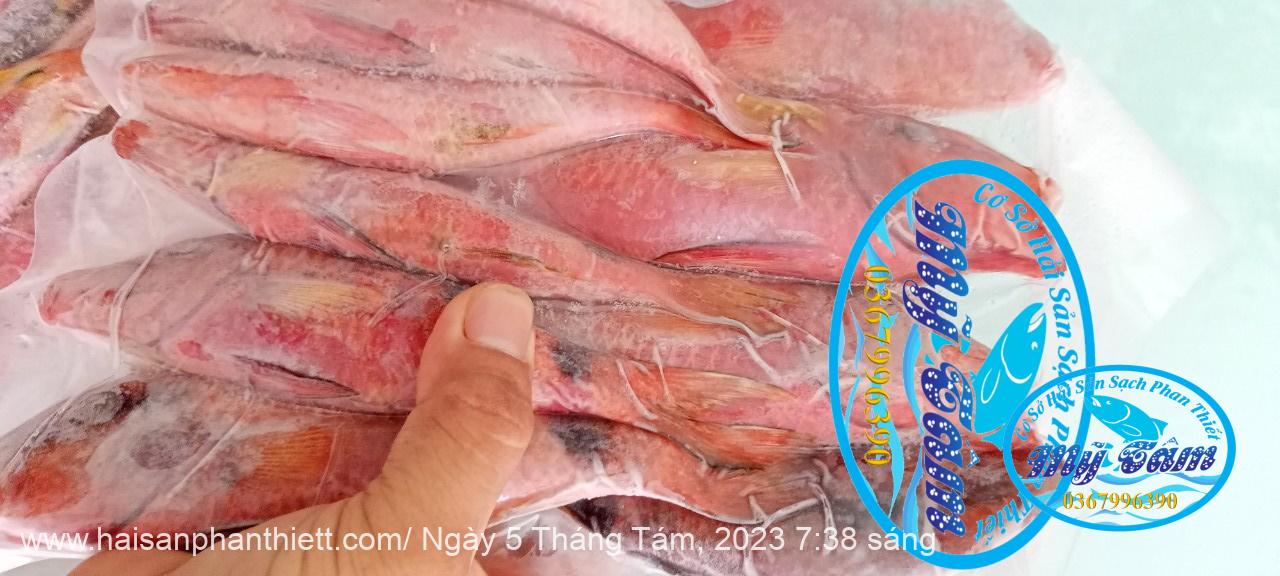 Ca Phen Do Hai San Phan Thiet Ca Phen Do Hai San Phan Thiet