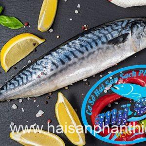 Ca Thu Cat Lat Cap Dong Lanh