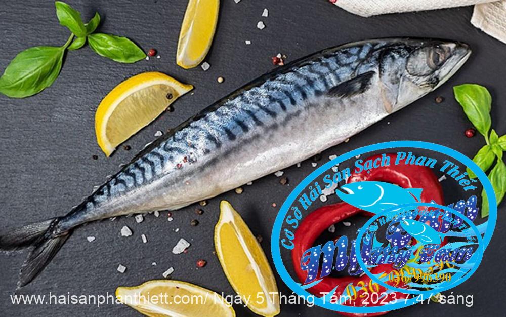 Ca Thu Cat Lat Cap Dong Lanh Ca Thu Cat Lat Cap Dong Lanh