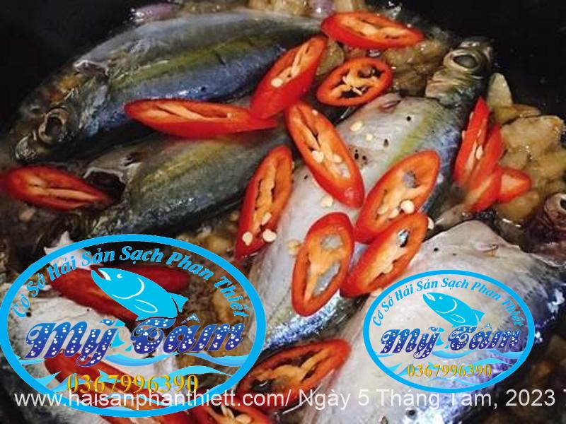 Ca Trac Trao Trao Cap Dong Lanh Ca Trac Trao Trao Cap Dong Lanh