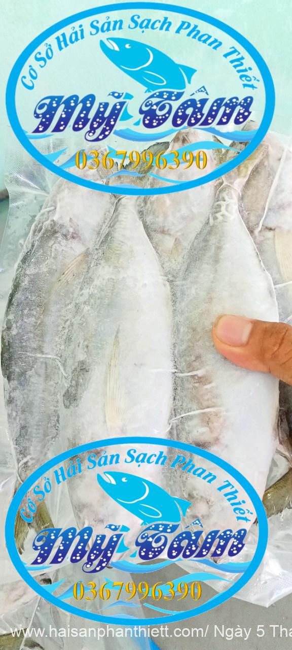 Ca Trac Trao Trao Cap Dong Lanh Ca Trac Trao Trao Cap Dong Lanh