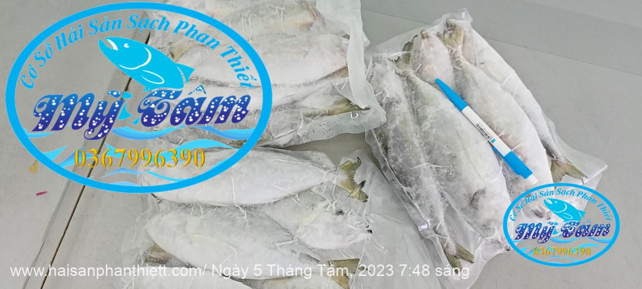 Ca Trac Trao Trao Cap Dong Lanh Ca Trac Trao Trao Cap Dong Lanh