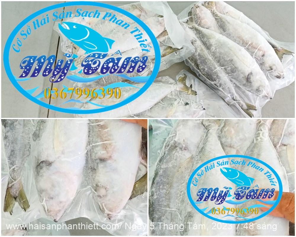 Ca Trac Trao Trao Cap Dong Lanh Ca Trac Trao Trao Cap Dong Lanh