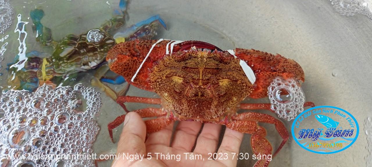 Ghe Phan Thiet Ghe Phan Thiet