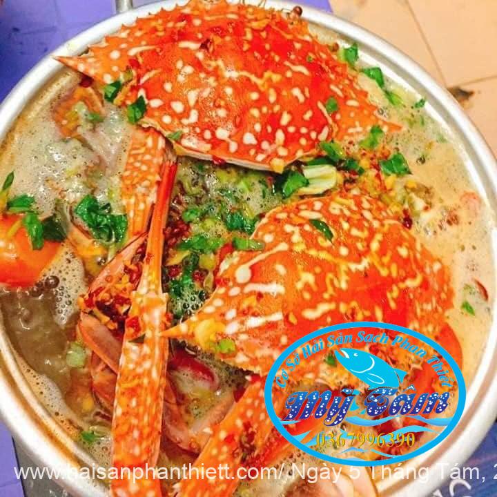 Ghe Xanh Do Phan Thiet My Tam Phan Thiet Ghe Xanh Do Phan Thiet My Tam Phan Thiet