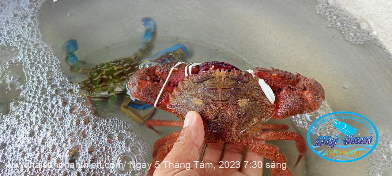 Ghe Phan Thiet Ghe Phan Thiet