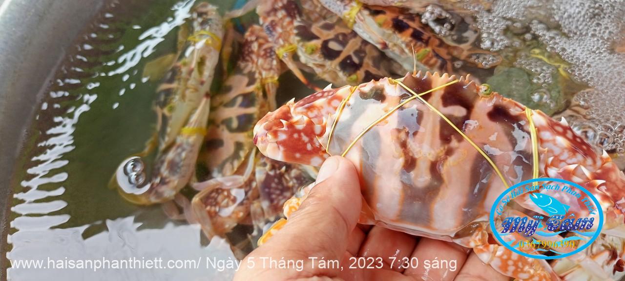 Ghe Phan Thiet Ghe Phan Thiet