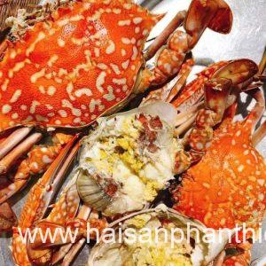 Ghe Xanh Do Phan Thiet My Tam Phan Thiet