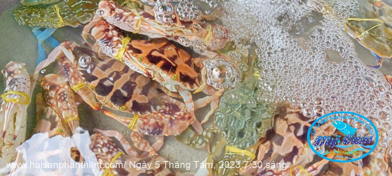 Ghe Phan Thiet Ghe Phan Thiet