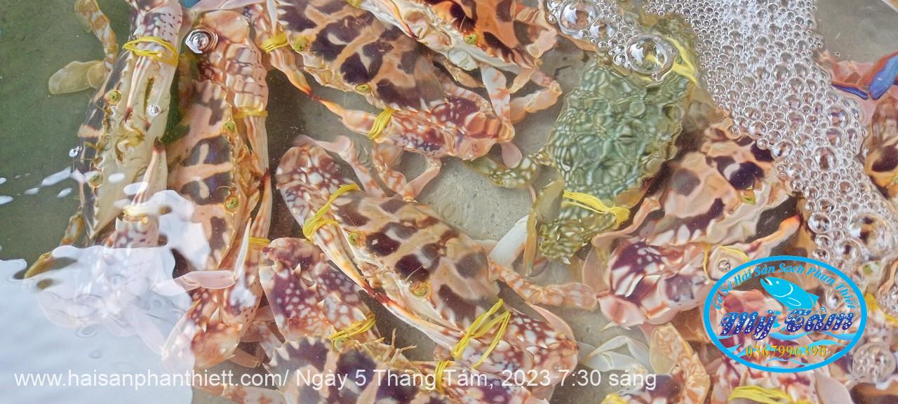 Ghe Phan Thiet Ghe Phan Thiet